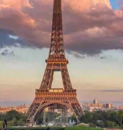 Lejlighed Jungle Chic