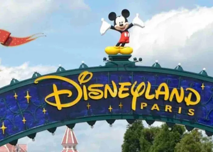 Jungle Chic 아파트 *